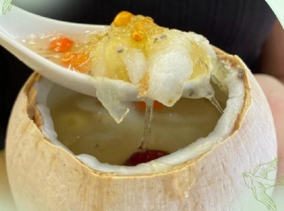 Cách Nấu Yến Chưng Dừa Tươi - Bồi Bổ Dinh Dưỡng Và Giúp Trong Nước Ối Cho Mẹ Bầu